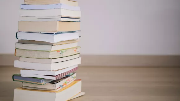 Τι σημαίνει η λέξη «σπαρίλα»