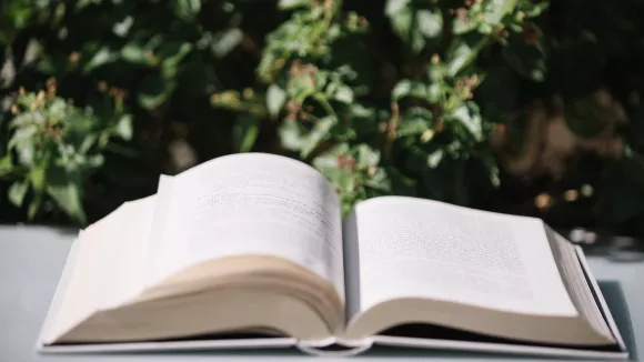 Τι σημαίνει η λέξη «κουτρούλης»