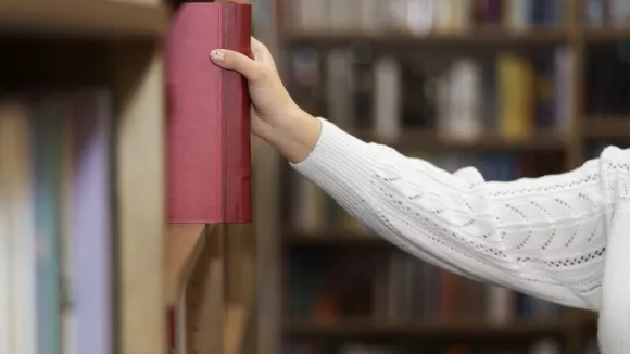 Τι σημαίνει η λέξη «παραβουλία»