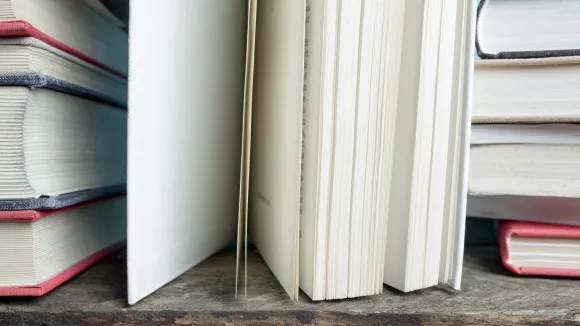 Τι σημαίνει η λέξη «ξεπέζεμα»