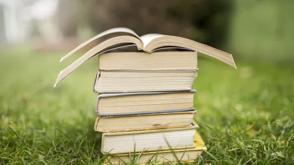 Τι σημαίνει η λέξη «καταβοή»