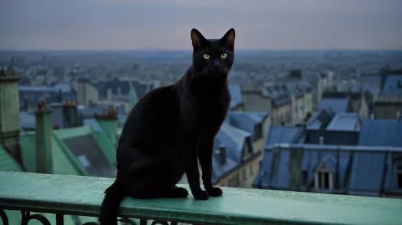 Παρασκευή και 13 σήμερα: Γιατί θεωρείται γρουσουζιά