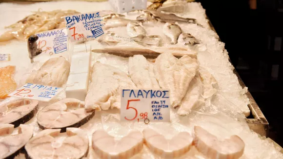 μπακαλιάρος