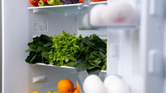 Ψυγείο και διατροφή