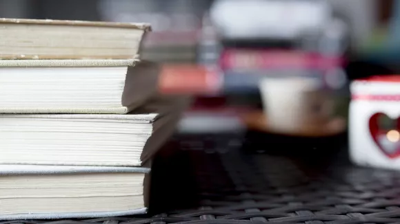 Τι σημαίνει η λέξη «ραγιάδικος»