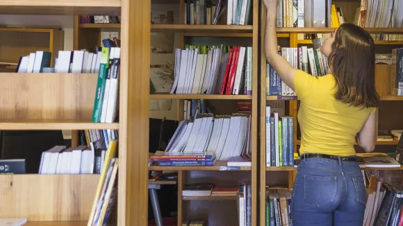 Τι σημαίνει η λέξη «εμμενετικός»