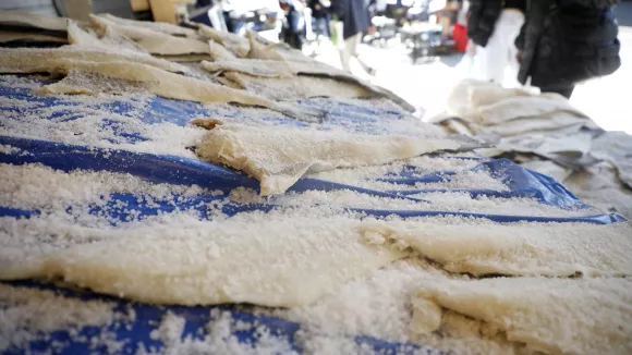 25η Μαρτίου: «Αλμυρός» ο μπακαλιάρος - Φτάνει έως και 27 ευρώ το κιλό