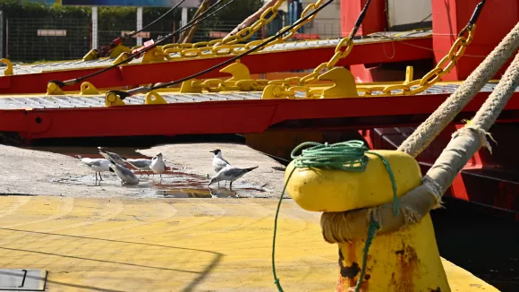 Ραφήνα: Κόπηκε ο κάβος σε πλοίο με 673 επιβάτες - Ένας τραυματίας