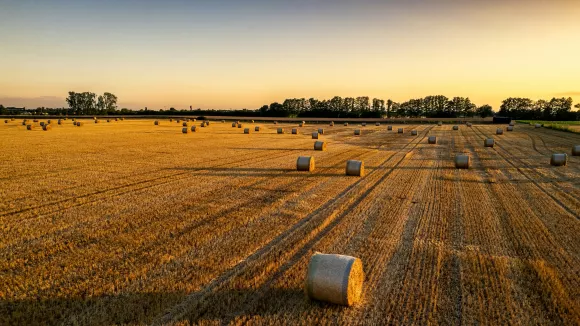 Θέσεις εργασίας στον ΕΛΓΟ Δήμητρα