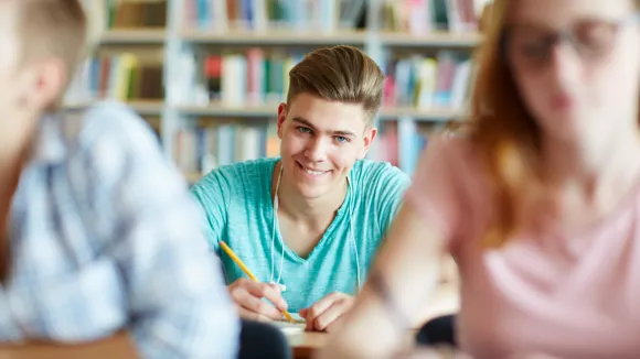 Επαγγελματικός προσανατολισμός