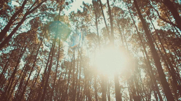 Φύση και καιρός