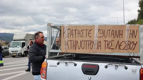 Αφθώδης πυρετός: Πρώτες ελλείψεις στα σούπερ μάρκετ της Μυτιλήνης