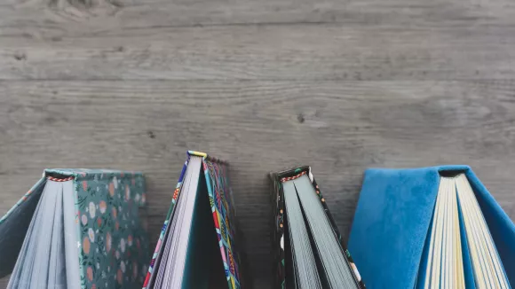 Τι σημαίνει η λέξη «ευχείρωτος»