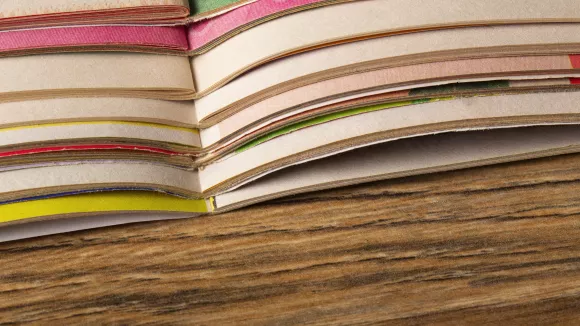 Τι σημαίνει η λέξη «ζοχάδα»