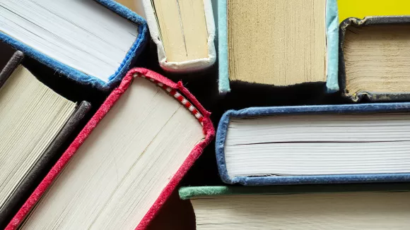 Τι σημαίνει η λέξη «στούρνος»