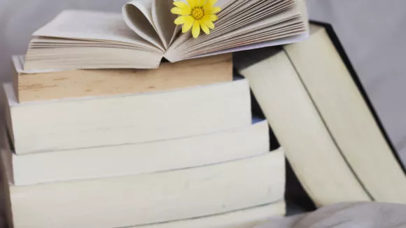 Τι σημαίνει η λέξη  «μίσχος»