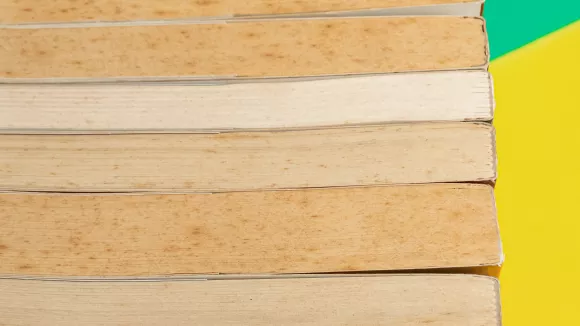 Τι σημαίνει η λέξη «αβέρτα»