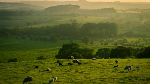 Κτηνοτροφία και πρόβατα