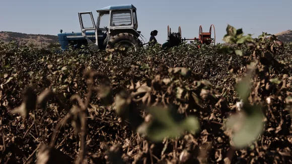 ΕΛΓΑ: Πληρώνονται σήμερα 24 εκατ. ευρώ σε αγρότες και κτηνοτρόφους