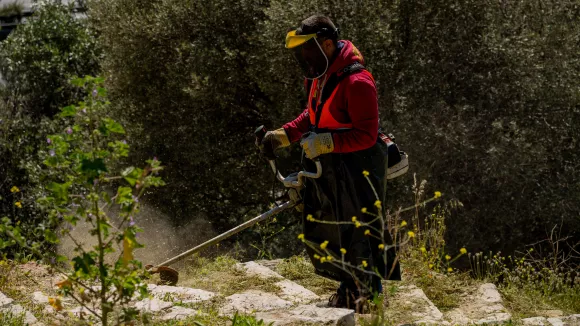 Ακαθάριστα οικόπεδα: Ξεκινούν οι έλεγχοι – Πρόστιμα έως 5.000 ευρώ