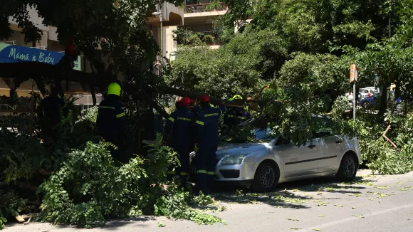 Ισχυροί άνεμοι στην Αττική: Δέντρο έπεσε πάνω σε διερχόμενο αμάξι και εγκλώβισε την οδηγό