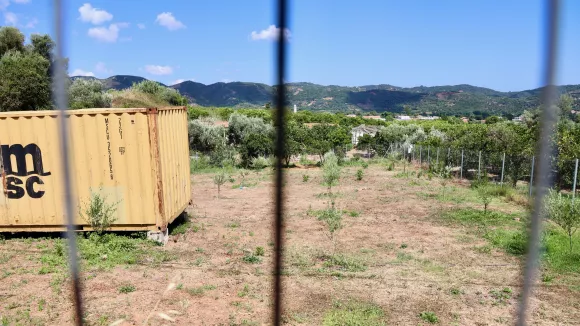 Δολοφονία Σταυρούλας Λεβεντάκη: Οι αντιφάσεις που «έσπασαν» τον 43χρονο