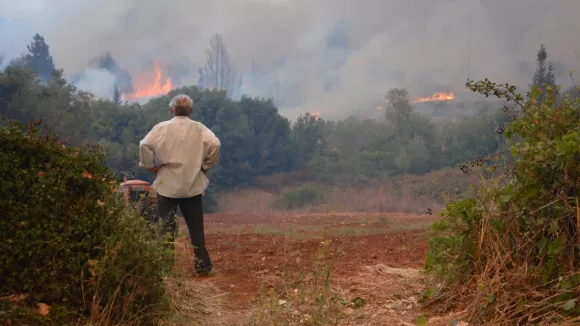 Ωραιόκαστρο κονδύλι αποζημείωσης 