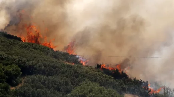 Φωτιά στο Δερβένι: Συνελήφθη 51χρονος - Εκτελούσε γεωργικές εργασίες