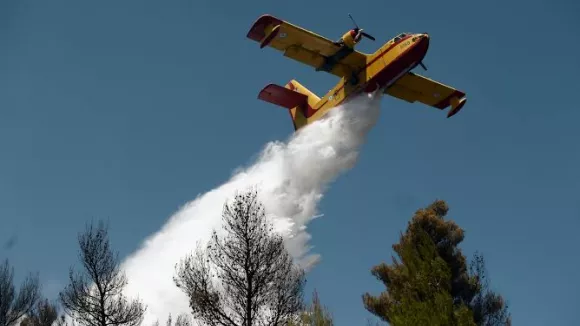 Φωτιά τώρα στα Οινόφυτα: Μεγάλη κινητοποίηση της Πυροσβεστικής