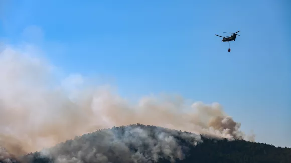 Φωτιά τώρα στα Βασιλικά Θεσσαλονίκης: Κοντά σε σπίτια οι φλόγες – Ήχησε το 112