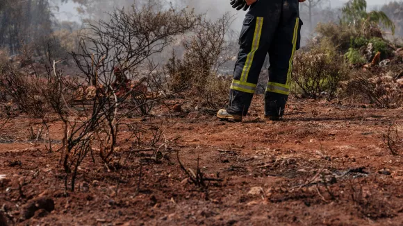 Σοκ στη Μαγούλα: Έκλεψαν τροχούς από αυτοκίνητα πυροσβεστών την ώρα που επιχειρούσαν στα μέτωπα