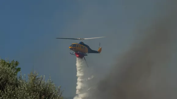 Φωτιά στη Βοιωτία: Τεράστια η καταστροφή - Εκτιμάται ότι εχουν κάει 50.000 στρέμματα γης