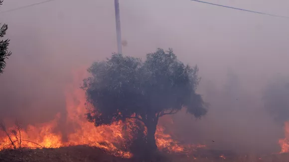 Πύρινα μέτωπα σε τέσσερις περιοχές – Σε εξέλιξη οι επιχειρήσεις κατάσβεσης