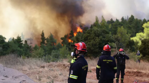 Φωτιά τώρα στην Τρίπολη - Επιχειρούν δύο αεροσκάφη