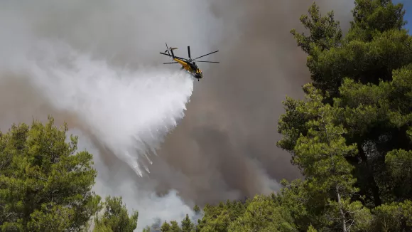 Πήλιο: Φωτιά κοντά σε οικισμό - Ισχυρές δυνάμεις στο σημείο