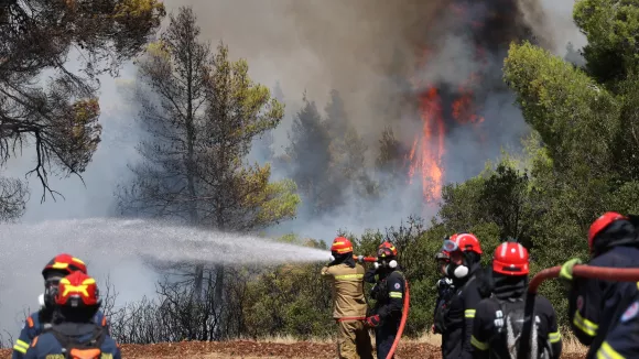 Φωτιά στη Σητεία: Μήνυμα του 112 και μεγάλη κινητοποίηση της Πυροσβεστικής