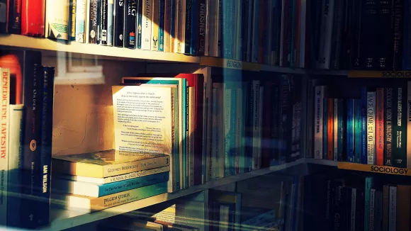 Τι σημαίνει η λέξη «φρενίτιδα»