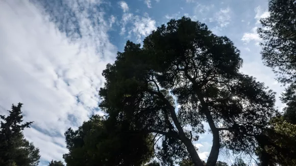 Καιρός: Ανοιξιάτικο σκηνικό μέχρι την Παρασκευή – Πότε αλλάζει ο καιρός