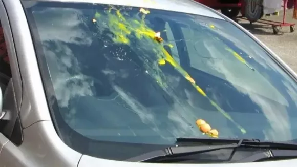 Νέα μέθοδος εξαπάτησης οδηγών: Πώς οι εγκληματίες χρησιμοποιούν αυγά για να κλέψουν αυτοκίνητα