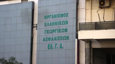 ελγα