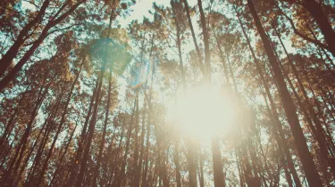 Φύση και καιρός