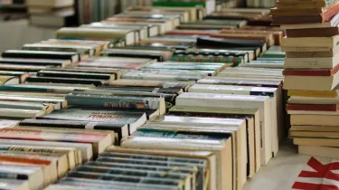 Τι σημαίνει η λέξη «λίφαιμος»