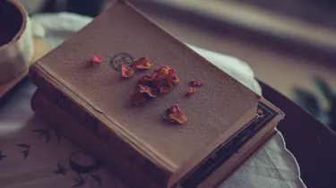 Τι σημαίνει η λέξη «αλκή»