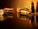 bullets