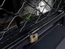 Lockdown