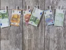 money evro