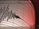 seismographos