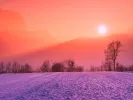 winter