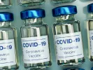 covid-19