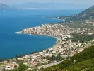 φθιωτιδα